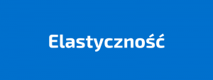 Read more about the article ELASTYCZNOŚĆ