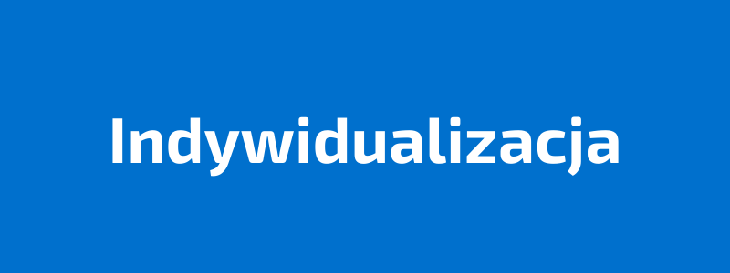 You are currently viewing INDYWIDUALIZACJA
