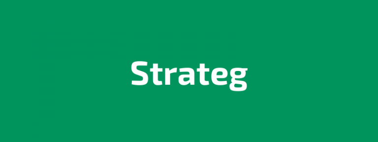 Read more about the article STRATEG