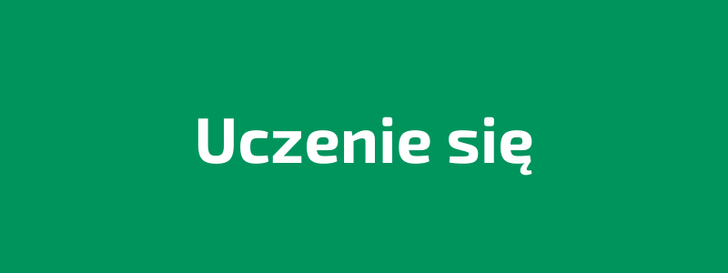 You are currently viewing UCZENIE SIĘ / LEARNER / WISSBEGIER