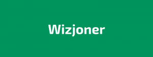 Read more about the article WIZJONER