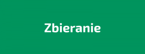 Read more about the article ZBIERANIE / INPUT / IDEENSAMMLER