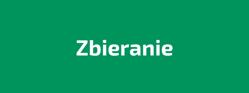 You are currently viewing ZBIERANIE / INPUT / IDEENSAMMLER